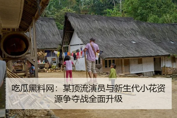 吃瓜黑料网：某顶流演员与新生代小花资源争夺战全面升级